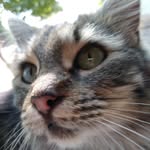 Dorian Belzons - @dorianbelzons - Instagram