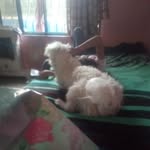 dorian alejandro gallardo cruz - @dorianalejandrogallardo - Instagram