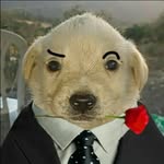 Dorian - @dorian_saul_goodman - Instagram