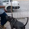 Dorian Guzman893 - @dorianguzman893 - TikTok