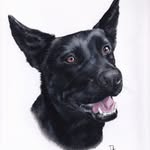 Dorian James Heim - @draw_heim - Instagram