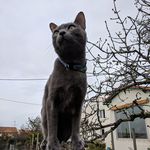 Dorian Henry - @ragtimedorianhenry - Instagram
