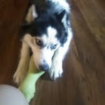 Dorian_hope11 - @dorian_hope11 - Instagram