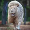 Dorian Hope - @dorian.hope0 - TikTok