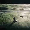 DorianShadowbanehunters - @dorianshadowbanehunters - TikTok