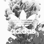 Dorian Jefferson - @official_dj.16 - Instagram