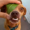 Dorian Jimenez - @dorian.jimenez0 - TikTok