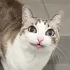 dorianekeller - @dorianekeller - TikTok