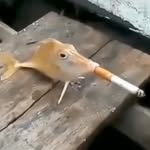 Dorian Laskowski - @tymbark_kaktusowy_on_top - Instagram