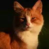doriana__lawson.53654 - @doriana__lawson.53654 - TikTok