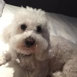 Dorian Lewis - @dorian.lewis.902819 - Instagram