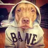 Dorian Mann - @dorian.mann - TikTok
