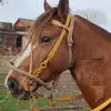 Dorian Marquez - @dorian.marquez4 - TikTok