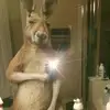 Dorian Mesa - @dorianmesa232 - TikTok