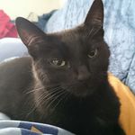 Dorian Müller - @dorian.muller.50 - Instagram