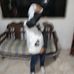 Dorian Muñoz - Facebook