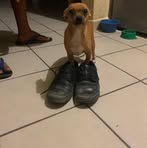 Dorian Murillo - Facebook