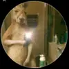 Dorian Naranjo - @dorian.naranjo.i - TikTok