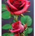 Derin Yilmaz - Facebook