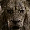 Dorian Ramos - @dorian.ramos46 - TikTok