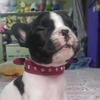 Donna.DaFrench - @donna.dafrench - TikTok