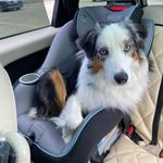 Doris Ackerman - @baileykwboo - Instagram