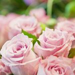 doris ackermann - @ackermann.doris - Instagram