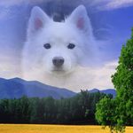 Doris Ackermann - @ackermanndoris - Instagram