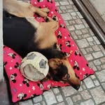 Doris Acosta - @doris.acosta.106 - Instagram