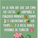 Doris Castillo Aguiar - Facebook