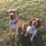 Doris & Albert - @doris.and.albert - Instagram