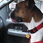Doris Albert - @dorisalbert - Instagram