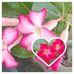 Doris Alejandro - Facebook