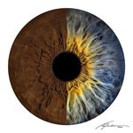 Doris Andersen - @dorisestupinan37 - Instagram