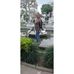 Doris Araujo - Facebook