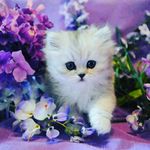 Doris Barnett - @dorisbarnett42 - Instagram