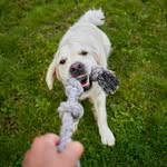 Doris Barnett - @dorisbarnett63 - Instagram