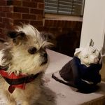 Doris Avery - @doris.avery.739 - Instagram