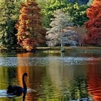 Doris Baldwin - Facebook