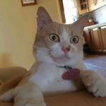Doris Barbara - @dorisbarbara1961 - Instagram