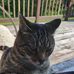 Doris Barber - Facebook
