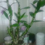 Doris barber - @barberdoris62 - Instagram