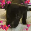 Doris Barnhart - @doris.barnhart - TikTok