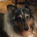 Doris Basham - Facebook