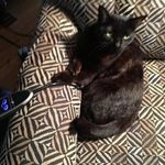 Doris Basham - @doris.basham.94 - Instagram