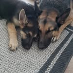 Doris Beales - @dorisbeales - Instagram