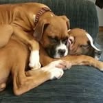 Doris Beaudoin - @dorisbeaudoin - Instagram
