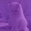 Doris Becerra11 - @doris.becerra118 - TikTok