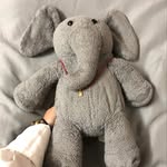 Doris Bee - @beebeedoris - Instagram