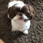 Doris Bee - @dorisbee3 - Instagram